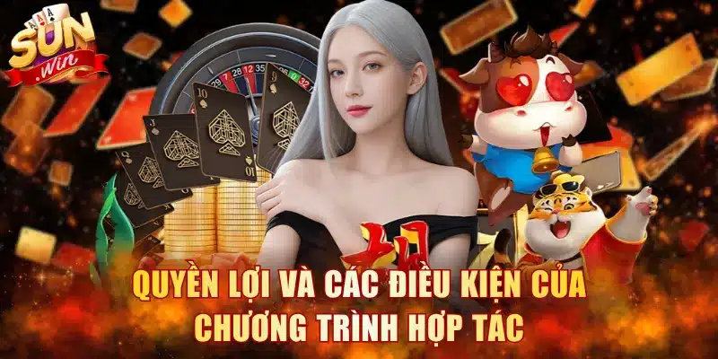 Quyền lợi và các điều kiện của chương trình hợp tác