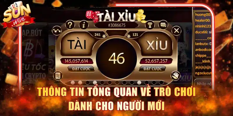 Thông tin tổng quan về trò chơi dành cho người mới